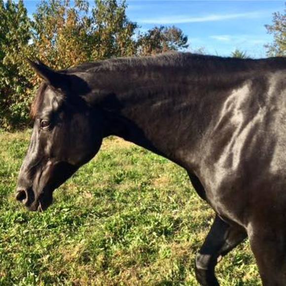 Meet your Posher, Janice - Picture 1 of 1